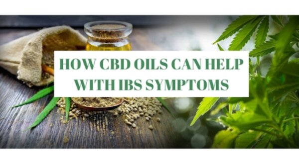 graphic of hemp plants and seeds with graphic text of how CBD oils can help with IBS symptoms