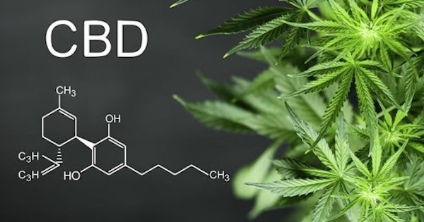 CBD Wellness with chemical composition on background of hemp leaf