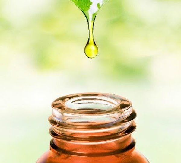 CBD Tincture Uses Guide. Rendering of cannabis oil dropping into tincture bottle.