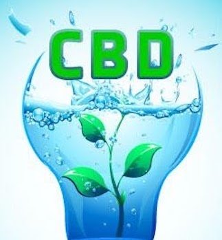 CBD Water with hemp plant