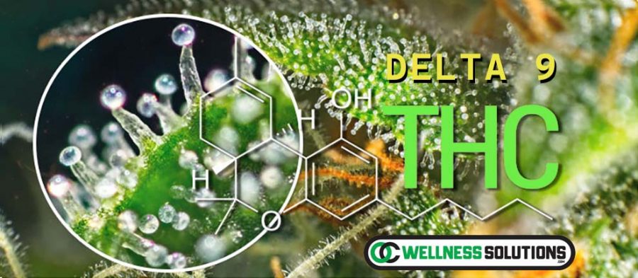 Hempstrax Delta 9 THC Products at OC Wellness Solutions