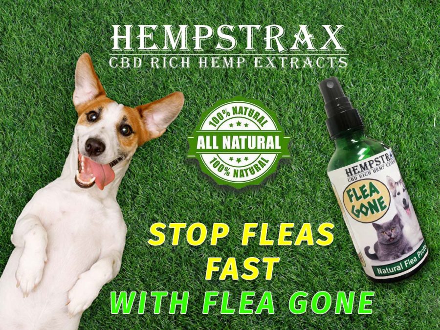 Hempstrax Flea Gone all natural flea remedy for dogs and cats