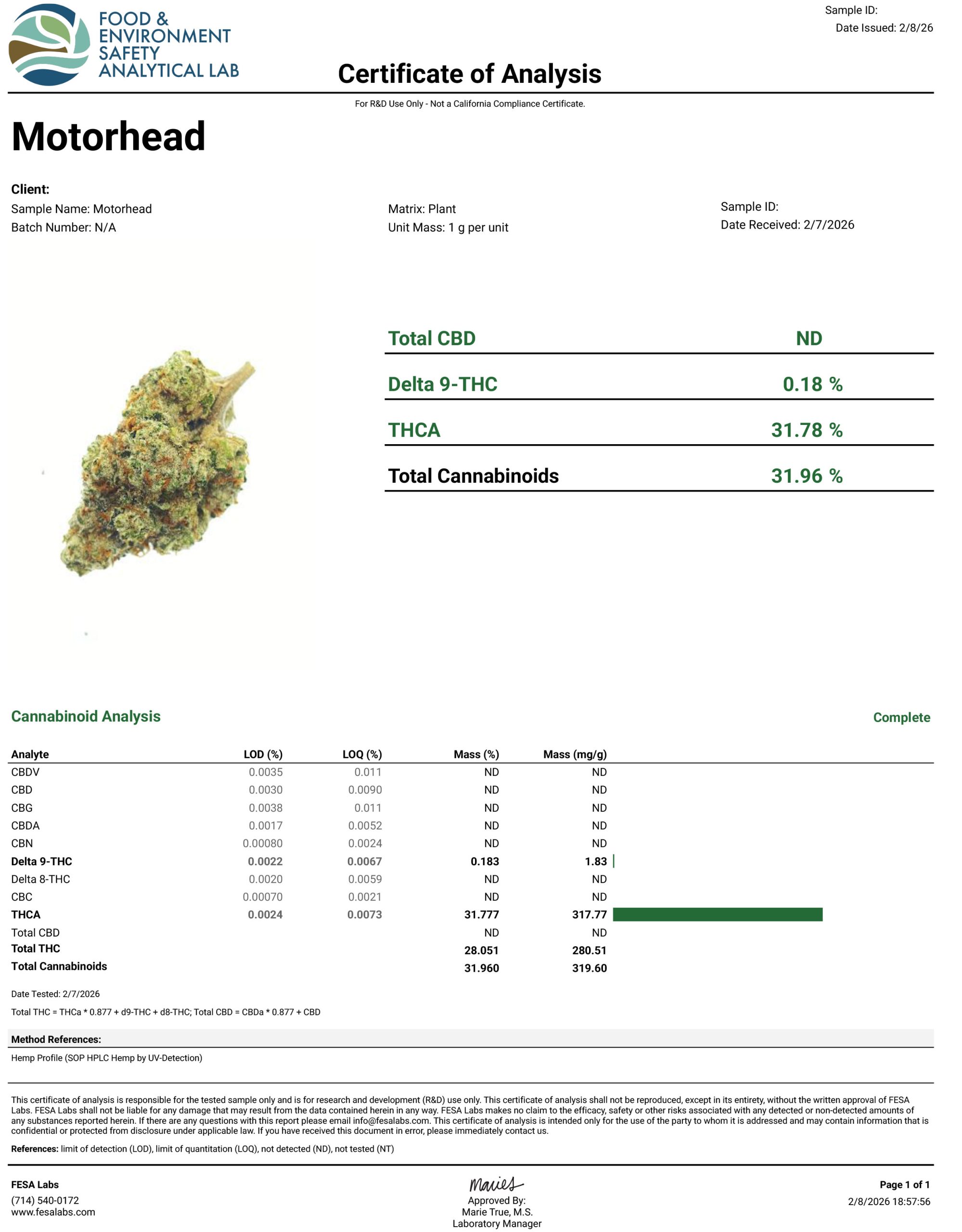 THCA Flower – Motorhead OG